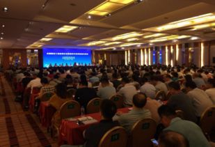 四川省城市建设工程监理 筑牢从蓝图到现实的信任屏障